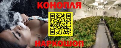 стафф Можга