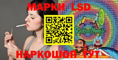 стафф Можга
