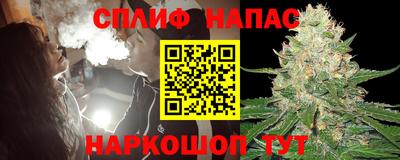 дживик Моздок