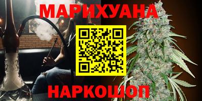 стафф Можга