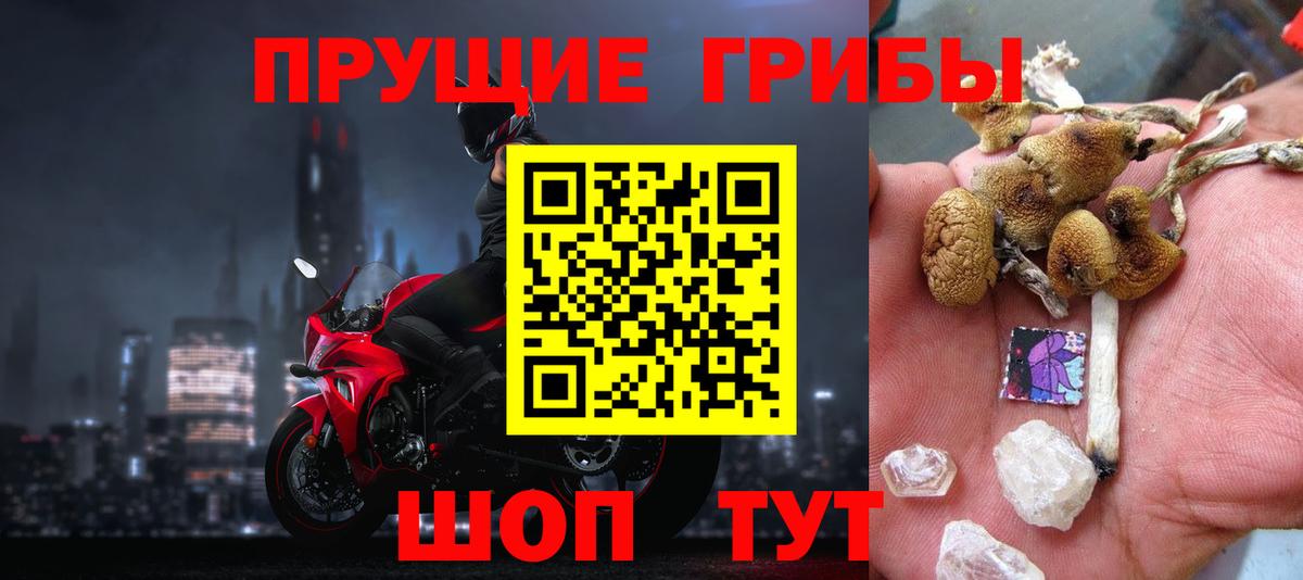 Галлюциногенные грибы MAGIC MUSHROOMS  Вход с VPN  как найти   Тосно 