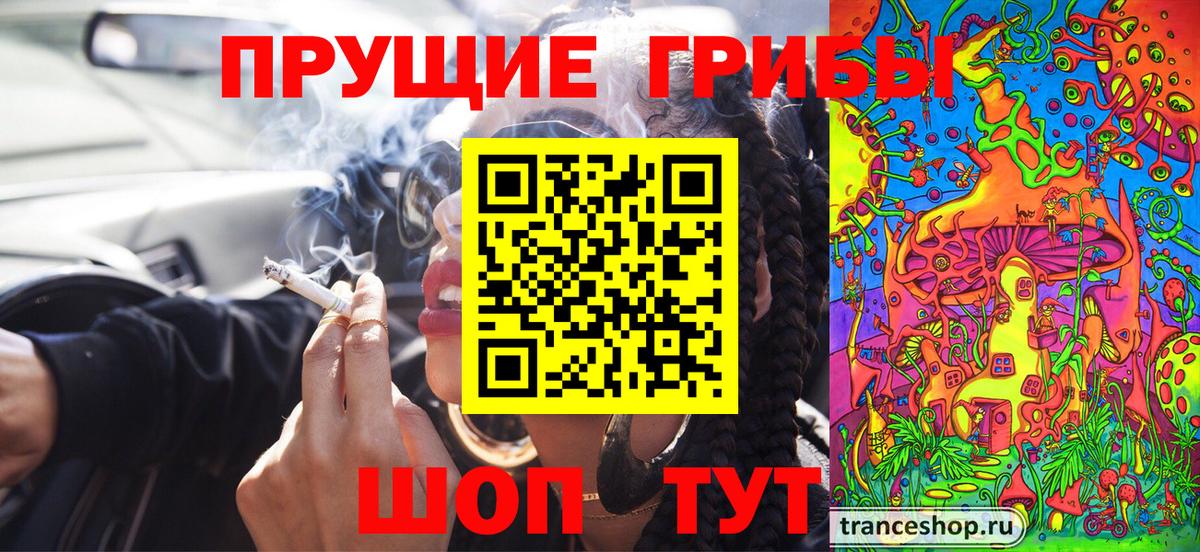 Псилоцибиновые грибы Cubensis Тосно