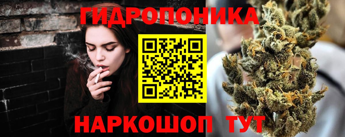 Бошки Шишки Bruce Banner  Вход с VPN  Конопля VHQ  МАРИХУАНА ГИДРОПОН  Тосно 